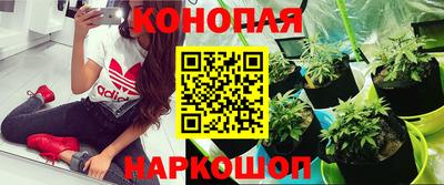 твердый Кулебаки