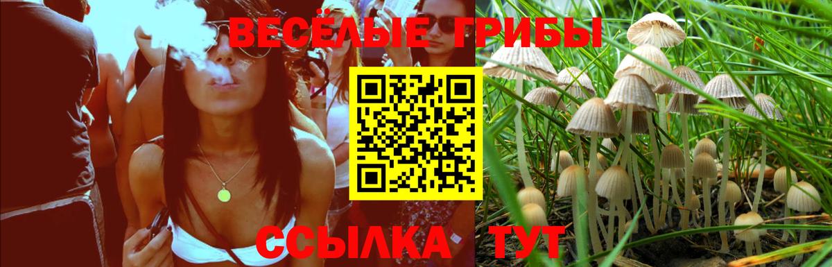 Галлюциногенные грибы ЛСД  купить   Воркута  Галлюциногенные грибы MAGIC MUSHROOMS  Вход с VPN 